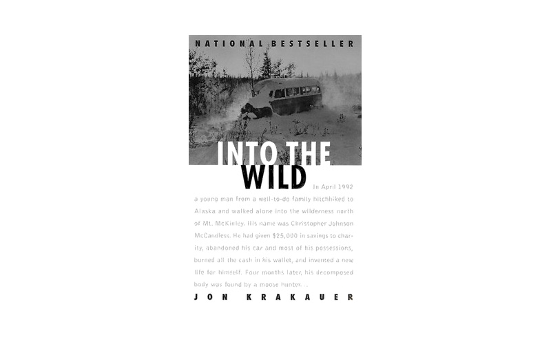 into the wild cover