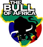 bull logo s 2