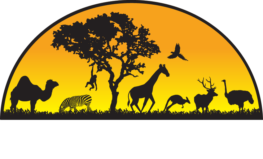 Animal Adventures!
