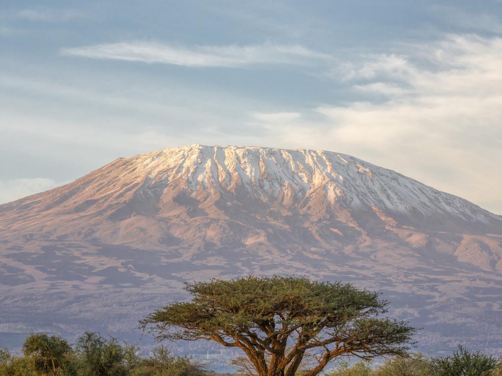 Ann Curry on Kilimanjaro