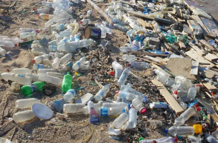The US Announces Ban on Single-Use Plastic in National Parks…in 2032